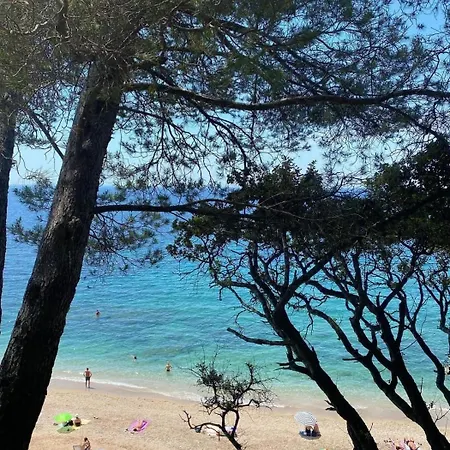 Le Pradet Cosy Beach Apartment, Proximite Plage A Pied Exterior foto