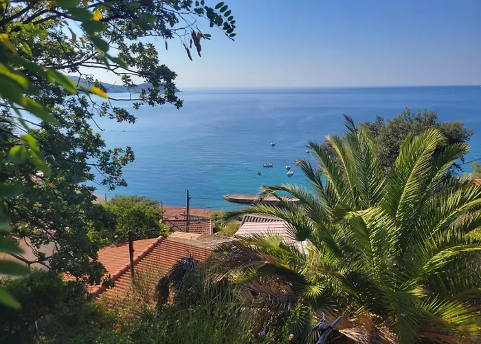 Le Pradet Cosy Beach Apartment, Proximite Plage A Pied